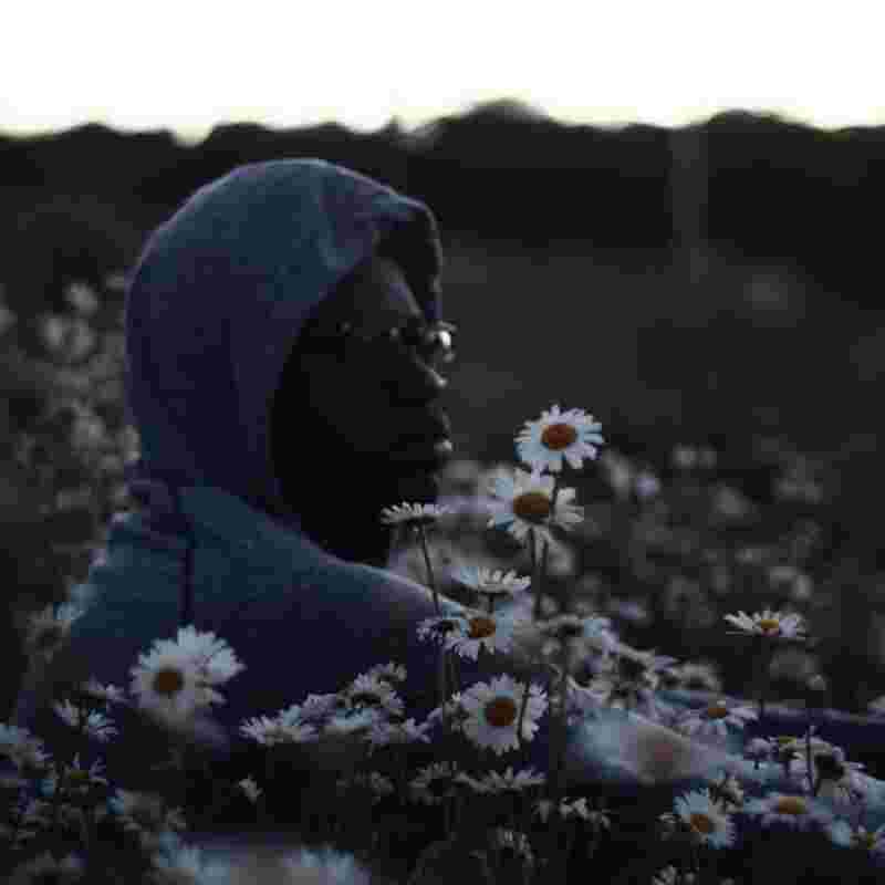 Odit ea nemo magnam id illum corporis