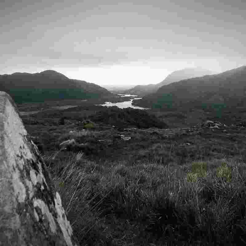 Ipsum iste aliquid excepturi esse molestiae