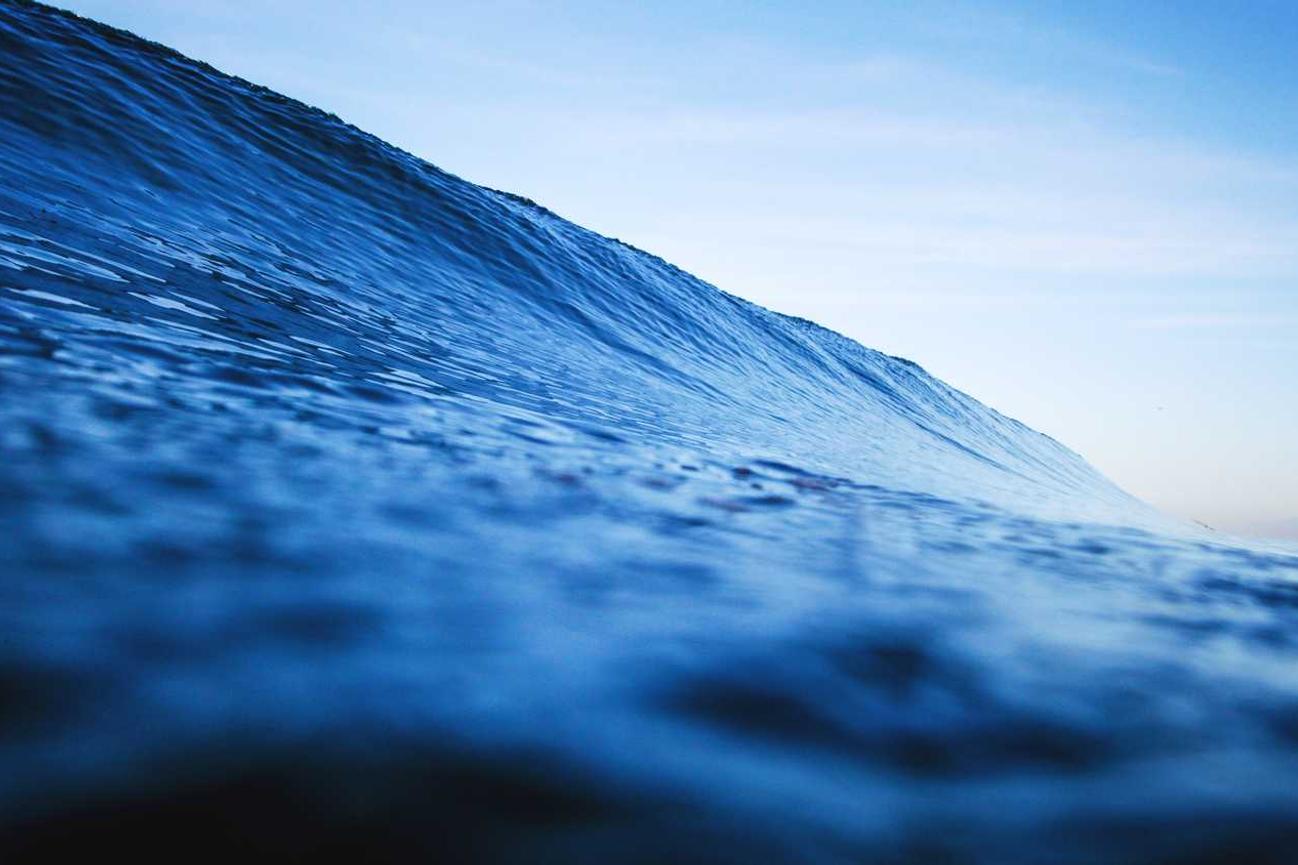 Quia vitae quia quidem et