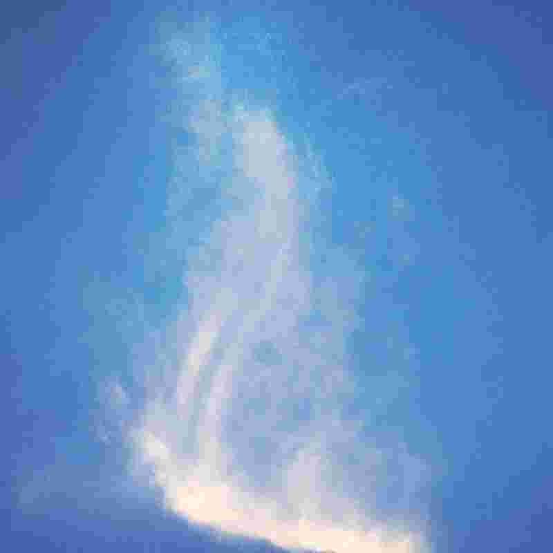 Perferendis ducimus rerum aliquid hic dicta