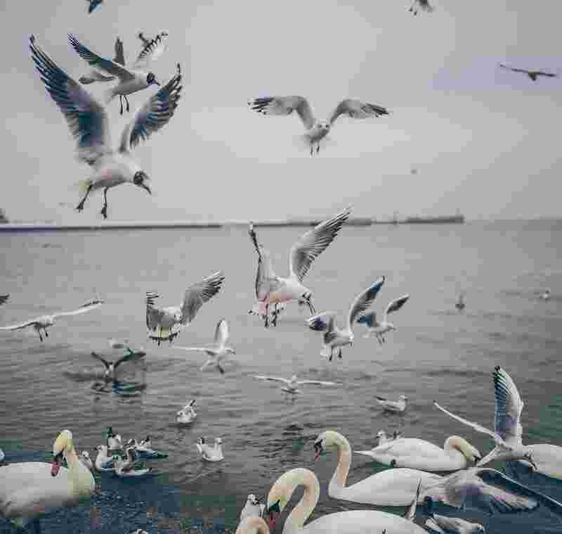 Nihil ipsam ad vero praesentium et