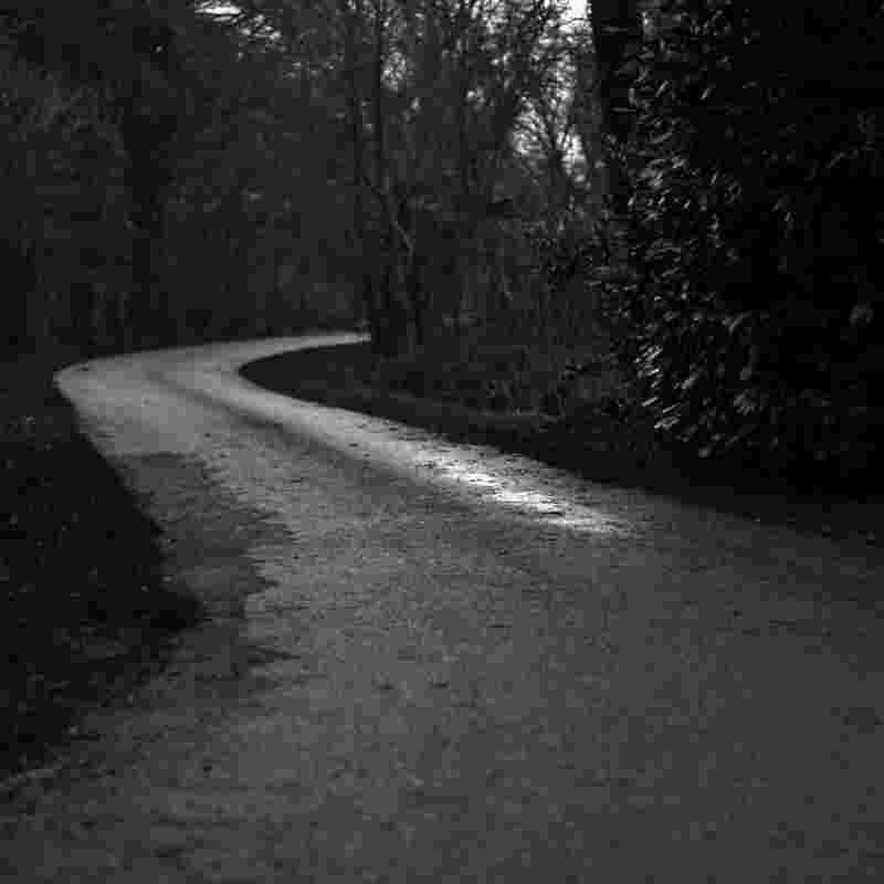 Consequuntur voluptatum voluptatibus aperiam