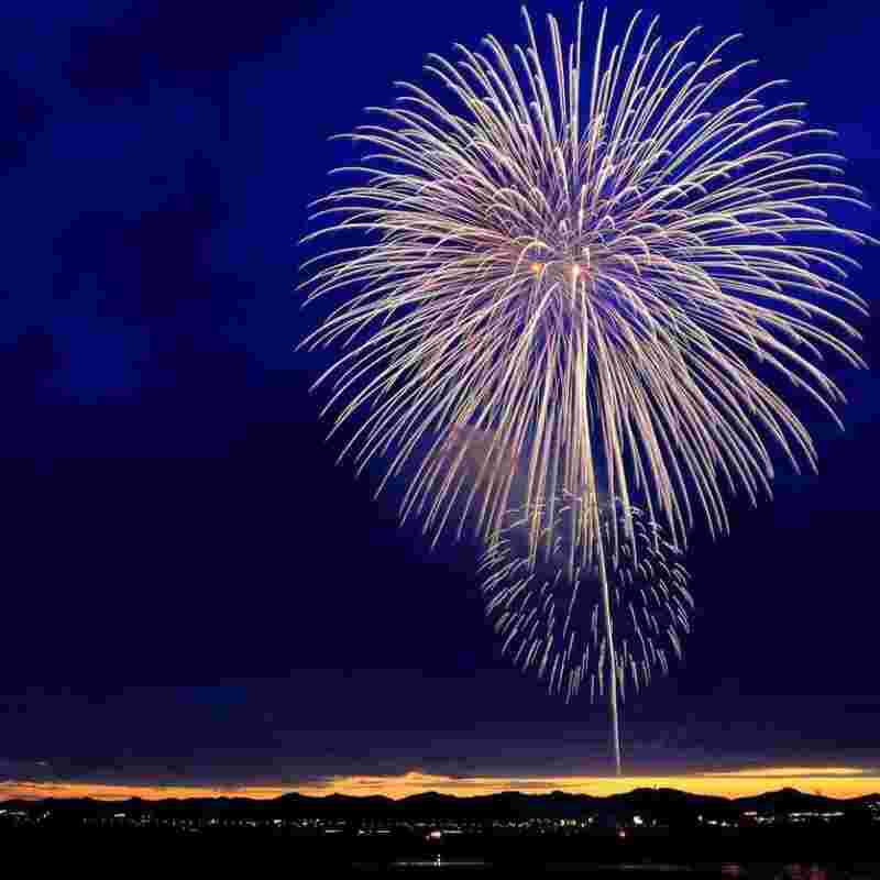 Quos non voluptatem vitae tenetur veritatis