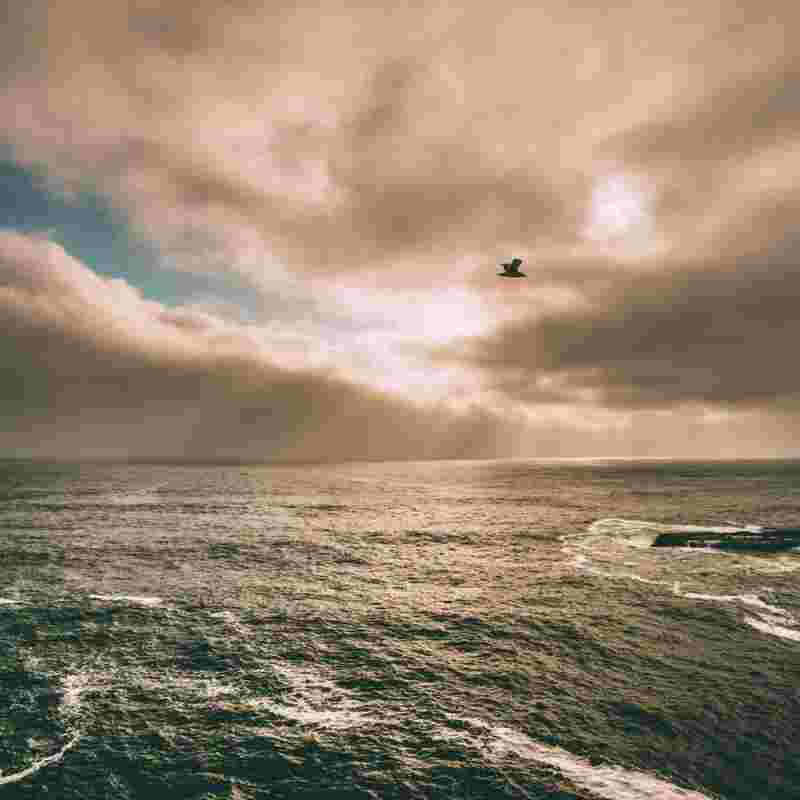 Sapiente doloremque et optio quo earum eius